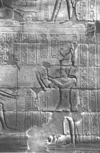 Photo »4103« aus dem Edfu-Projekt.