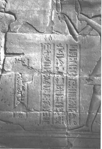 Photo »4116« aus dem Edfu-Projekt.