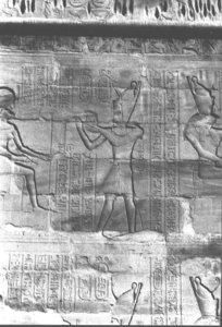 Photo »413« aus dem Edfu-Projekt.
