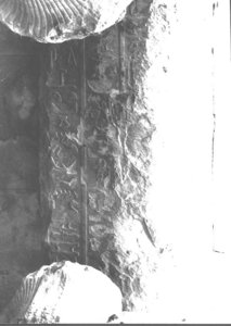 Photo »3427« of the Edfu-Project.