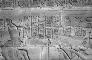 Photo »4421« aus dem Edfu-Projekt.