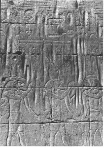 Photo »132« of the Edfu-Project.