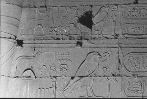Photo »37« of the Edfu-Project.