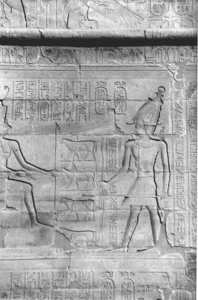 Photo »4406« aus dem Edfu-Projekt.