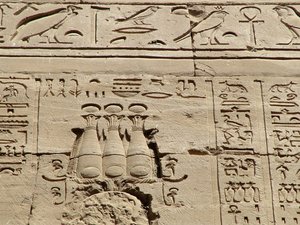 Photo »D05_0951« aus dem Edfu-Projekt.