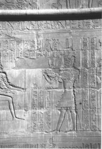 Photo »4258« aus dem Edfu-Projekt.