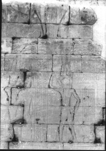 Photo »981« of the Edfu-Project.