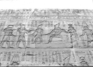 Photo »1477« aus dem Edfu-Projekt.