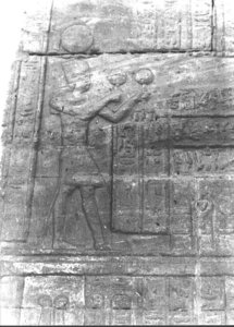 Photo »2724« aus dem Edfu-Projekt.