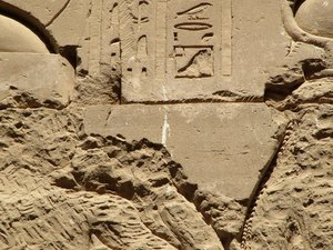 Photo »D05_1350« aus dem Edfu-Projekt.