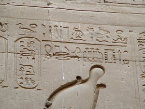 Photo »D05_3616« aus dem Edfu-Projekt.