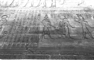 Photo »1408« aus dem Edfu-Projekt.