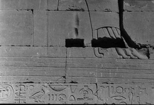 Photo »36« of the Edfu-Project.