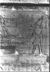 Photo »435« aus dem Edfu-Projekt.