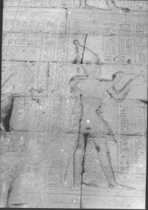Photo »868« aus dem Edfu-Projekt.