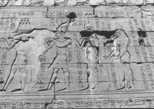 Photo »1468« aus dem Edfu-Projekt.