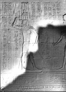 Photo »2229« aus dem Edfu-Projekt.