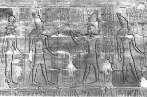 Photo »275« aus dem Edfu-Projekt.