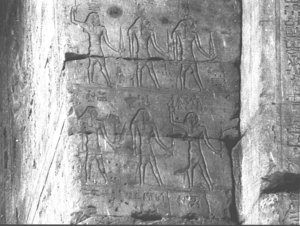 Photo »3231« of the Edfu-Project.