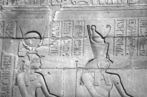 Photo »4410« aus dem Edfu-Projekt.