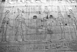Photo »1488« aus dem Edfu-Projekt.