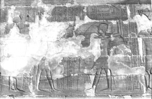 Photo »313« aus dem Edfu-Projekt.