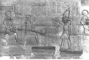 Photo »361« aus dem Edfu-Projekt.