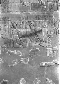 Photo »4052« aus dem Edfu-Projekt.