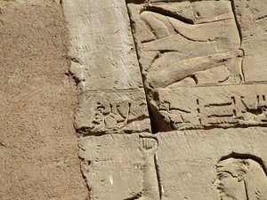 Photo »D05_1739« aus dem Edfu-Projekt.