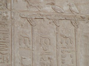 Photo »D05_5148« of the Edfu-Project.