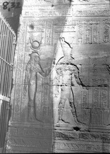 Photo »553« of the Edfu-Project.