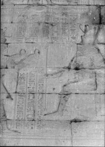 Photo »892« aus dem Edfu-Projekt.