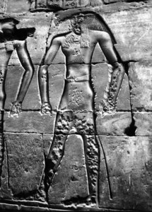 Photo »2956« aus dem Edfu-Projekt.