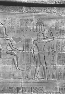 Photo »4303« aus dem Edfu-Projekt.