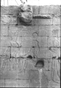 Photo »942« of the Edfu-Project.