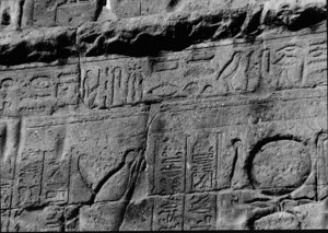Photo »2179« aus dem Edfu-Projekt.
