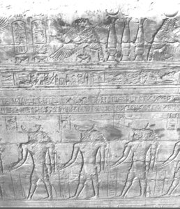 Photo »3041« aus dem Edfu-Projekt.