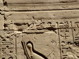 Photo »D05_2364« aus dem Edfu-Projekt.