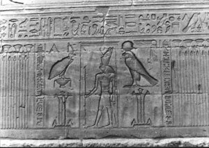 Photo »2028« aus dem Edfu-Projekt.