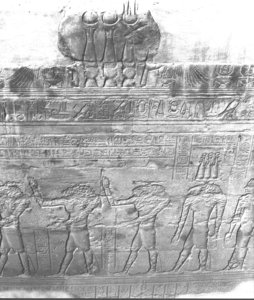 Photo »3049« aus dem Edfu-Projekt.