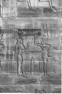 Photo »4115« aus dem Edfu-Projekt.