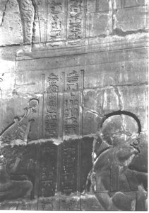Photo »4175« aus dem Edfu-Projekt.