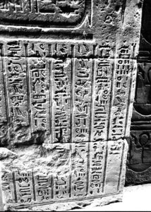 Photo »2950« aus dem Edfu-Projekt.