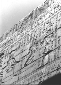 Photo »3551« aus dem Edfu-Projekt.