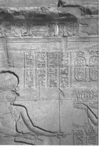Photo »4361« aus dem Edfu-Projekt.