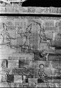 Photo »459« aus dem Edfu-Projekt.