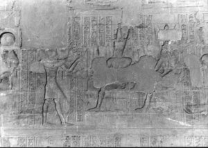 Photo »2046« of the Edfu-Project.
