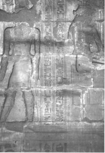 Photo »4243« aus dem Edfu-Projekt.