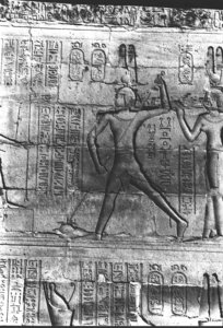 Photo »427« aus dem Edfu-Projekt.