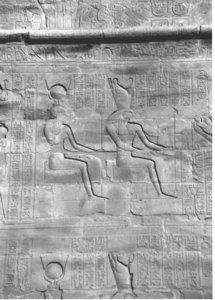 Photo »4382« aus dem Edfu-Projekt.